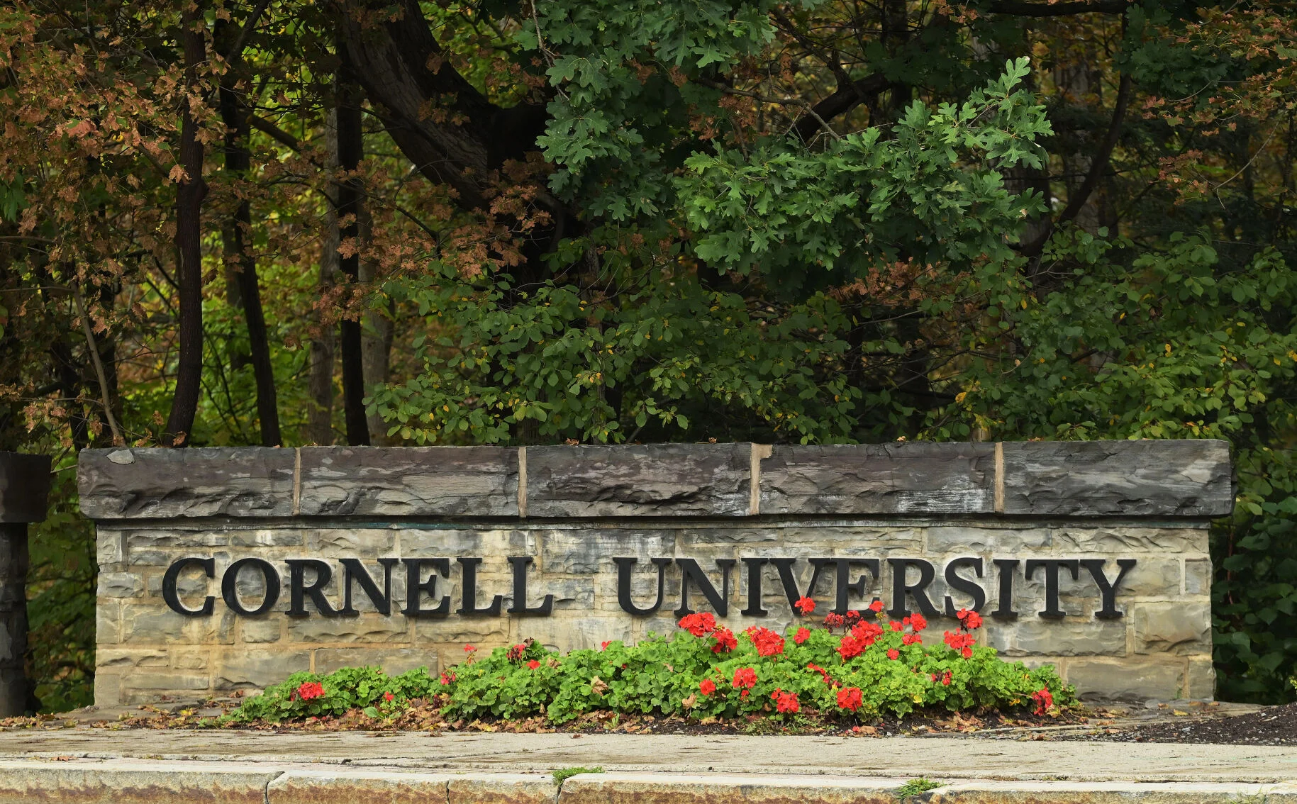 A Cornell University sign in Ithaca, New York, photographed outdoors in daylight