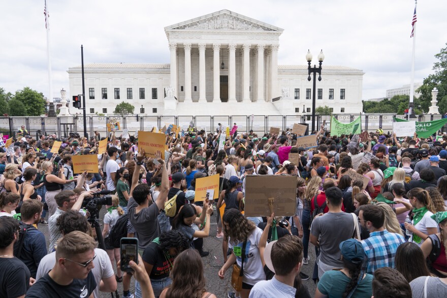 A crowd gathered on the plaza outside the United States Supreme Court building in Washington, DC in daylight, news photography style