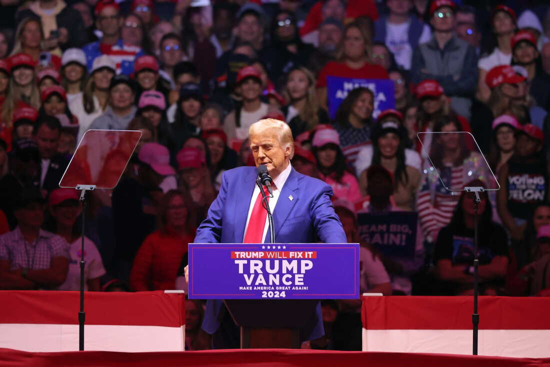 A real photograph of President Donald Trump speaking at a rally at Clemson University