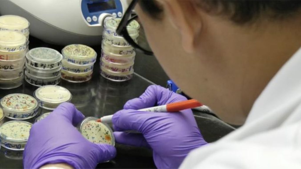 A university researcher sitting at a desk in a laboratory office reviewing grant paperwork with lab benches and scientific equipment visible in the background, news photography style