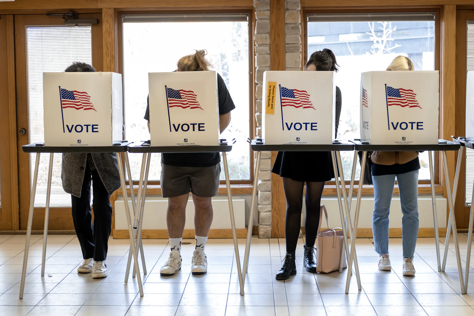 Midterm Elections in the United States
