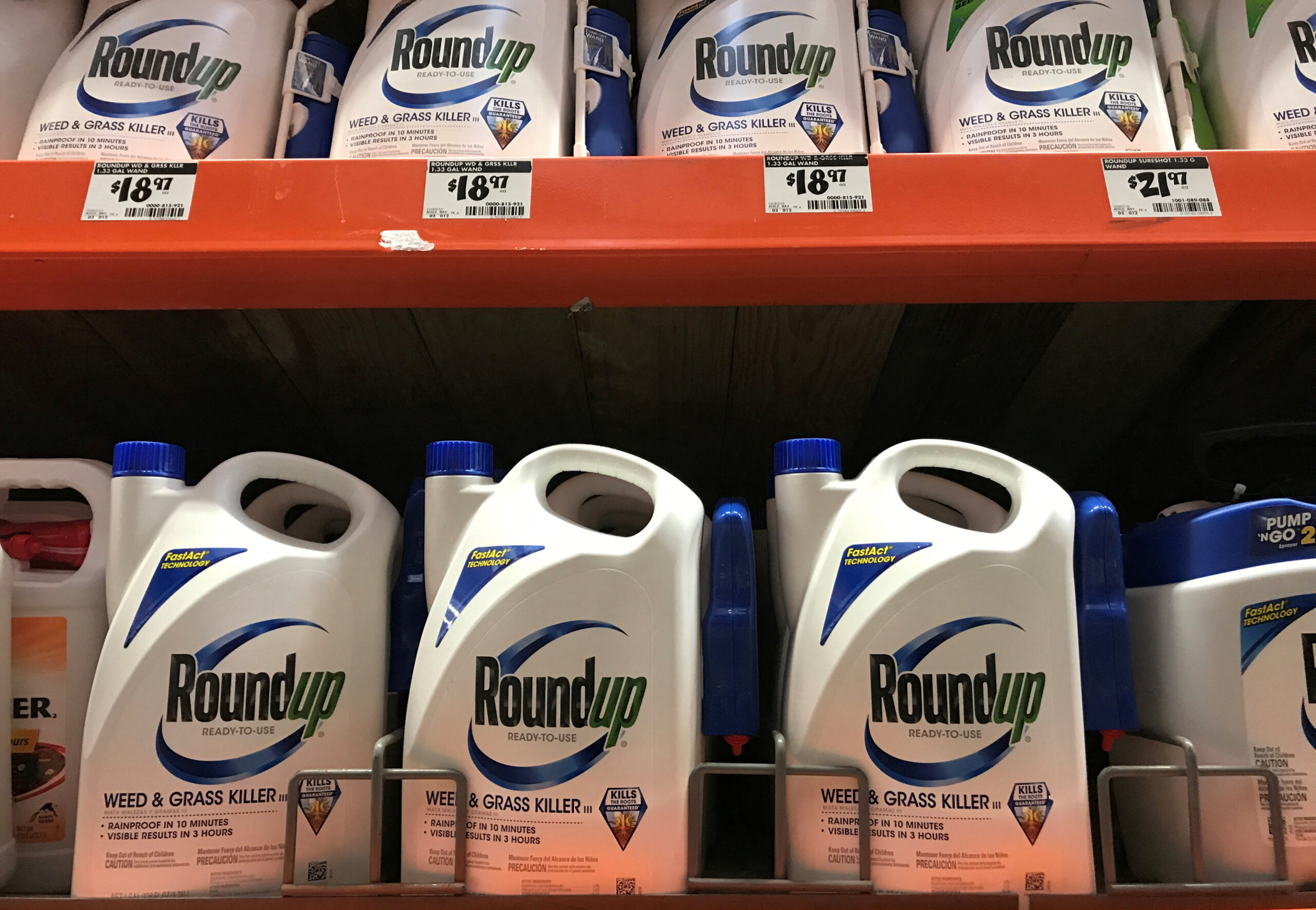 Bottles of Roundup weed killer lined up on a store shelf in a home and garden aisle, photographed up close, news photography style