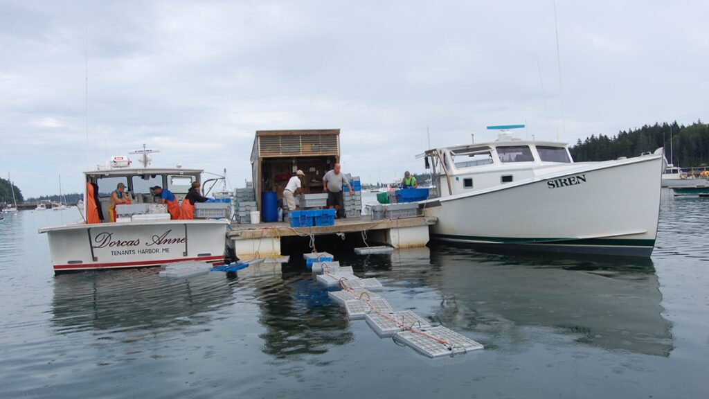 Lobster boats tied up at a dock in Vinalhaven, Maine, on a clear day