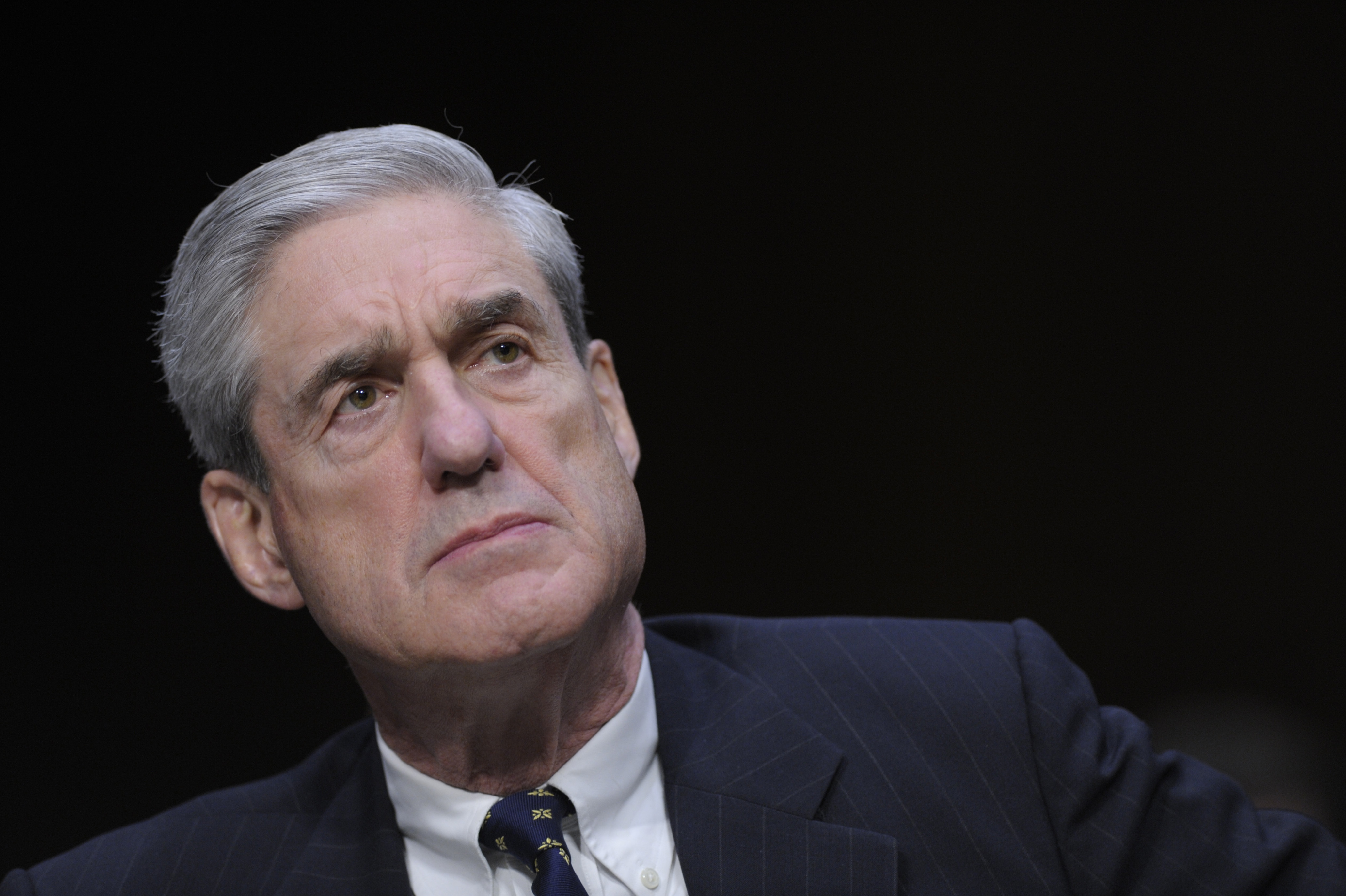 What Is a Special Counsel?