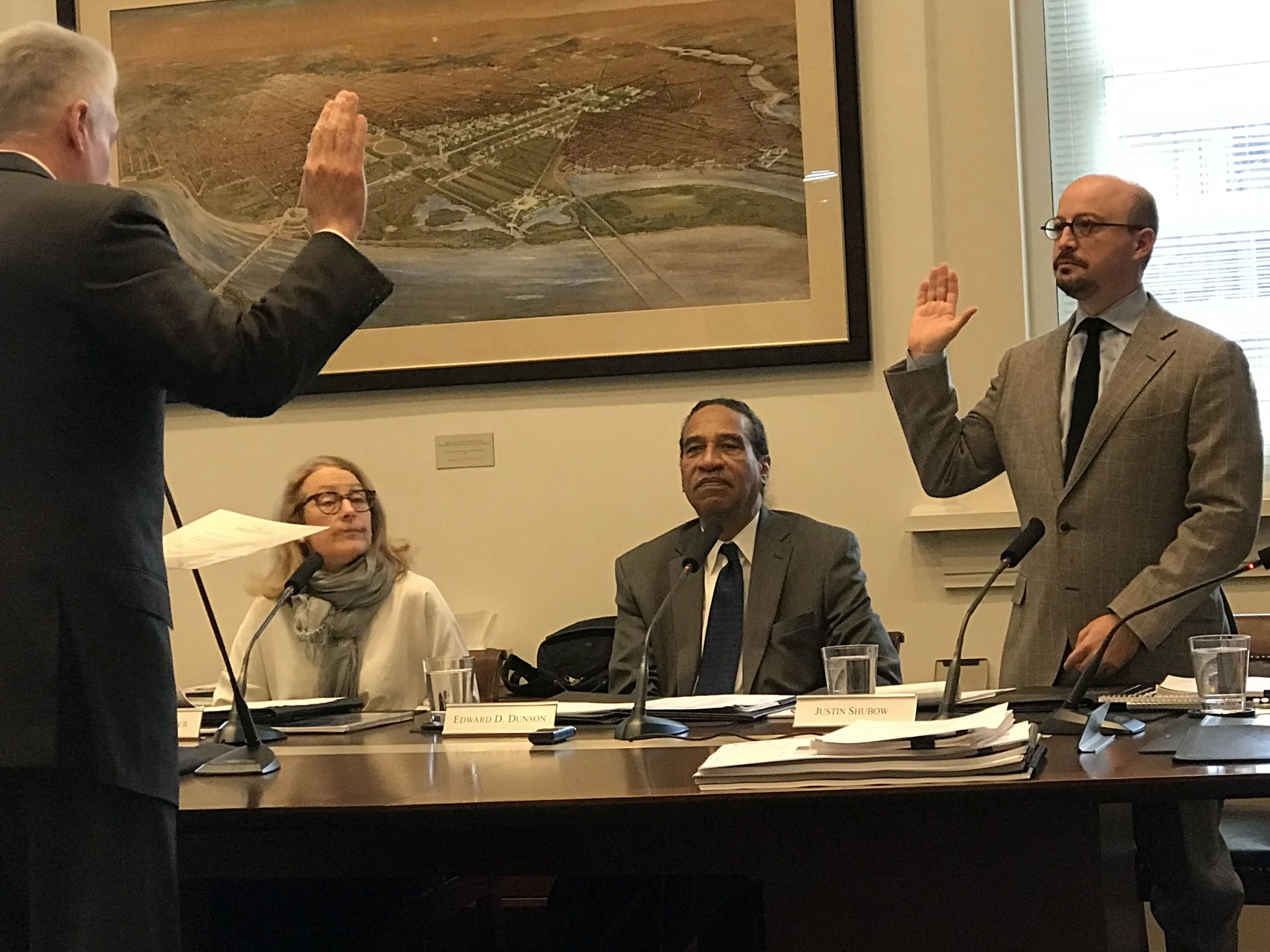 The U.S. Commission of Fine Arts in Washington, DC, which participates in design review for major projects in the capital