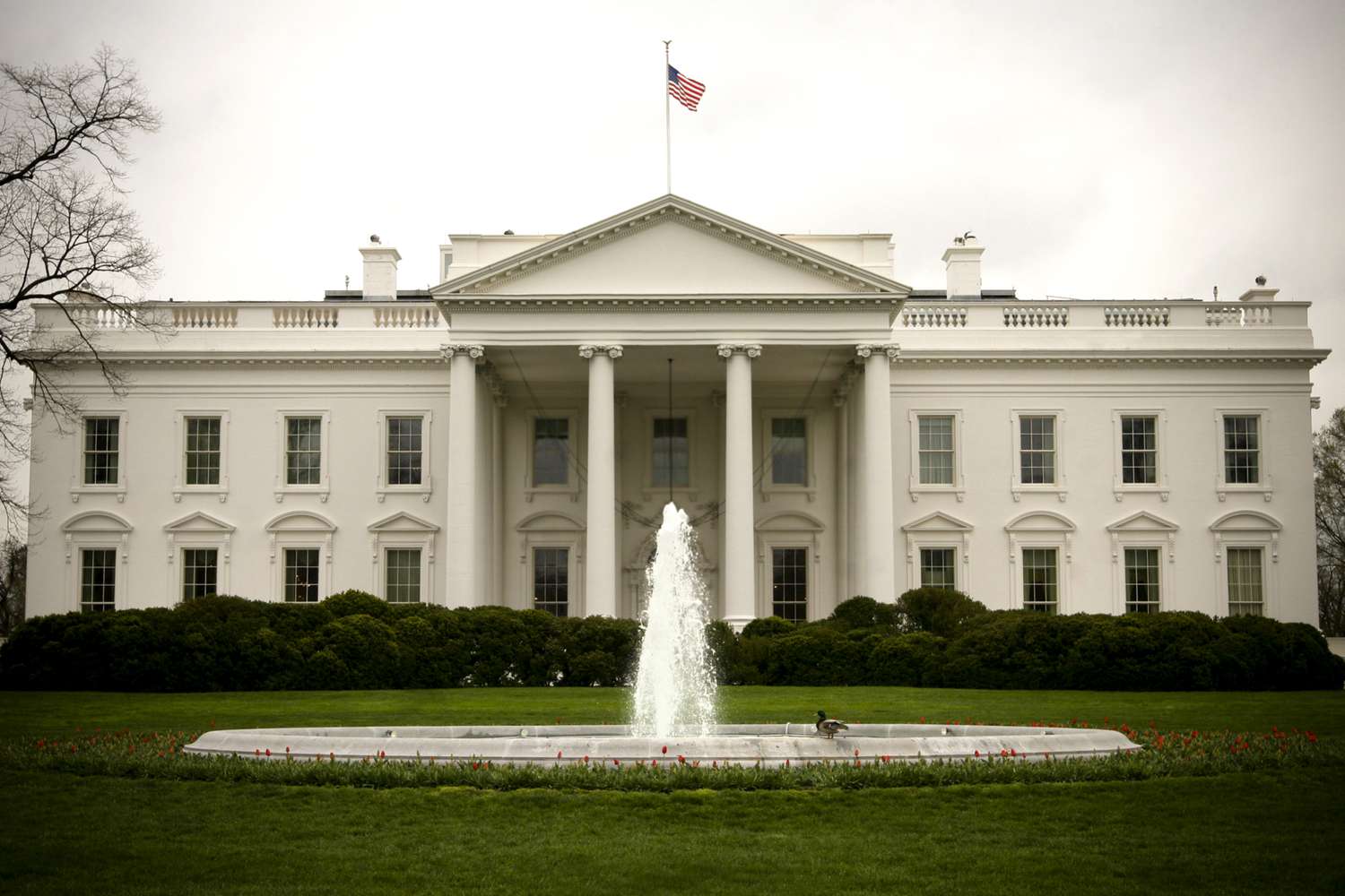 The White House exterior in Washington, photographed from the north lawn perspective on a clear day, formal government setting, news photography style