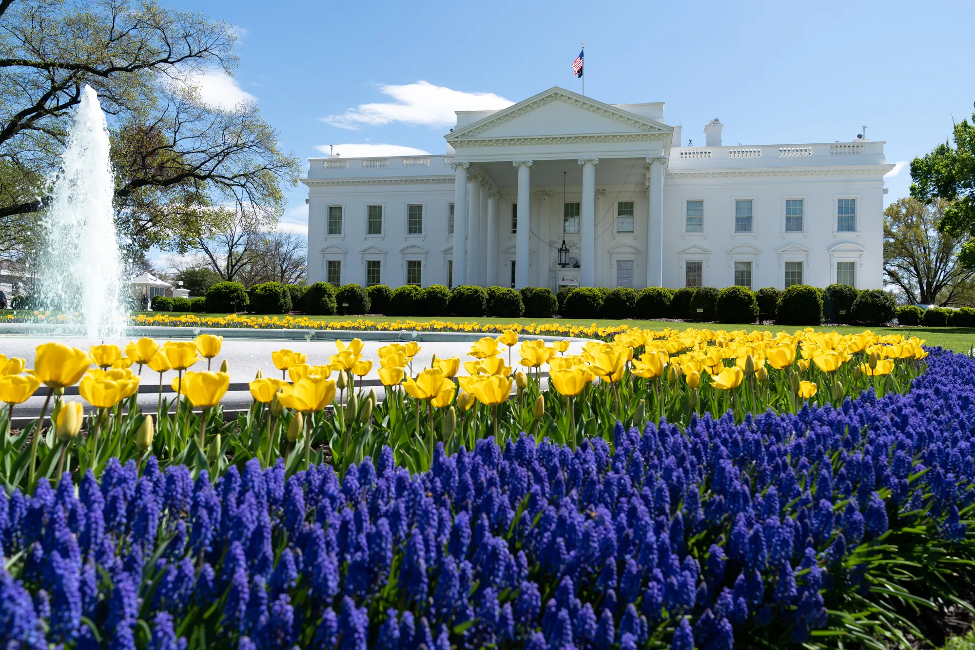 The exterior of the White House photographed in 2026 from the North Lawn, with the building centered and security fencing in the foreground