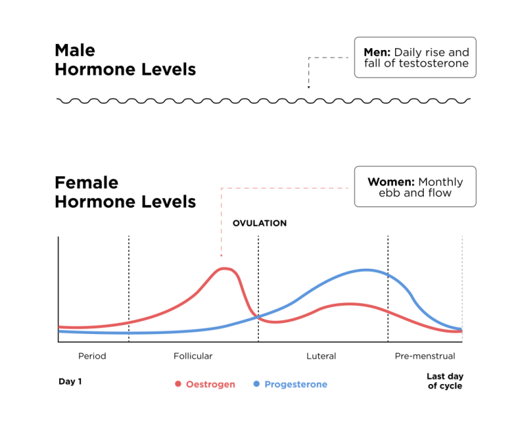 athletic performance statistics comparing male and female physiology