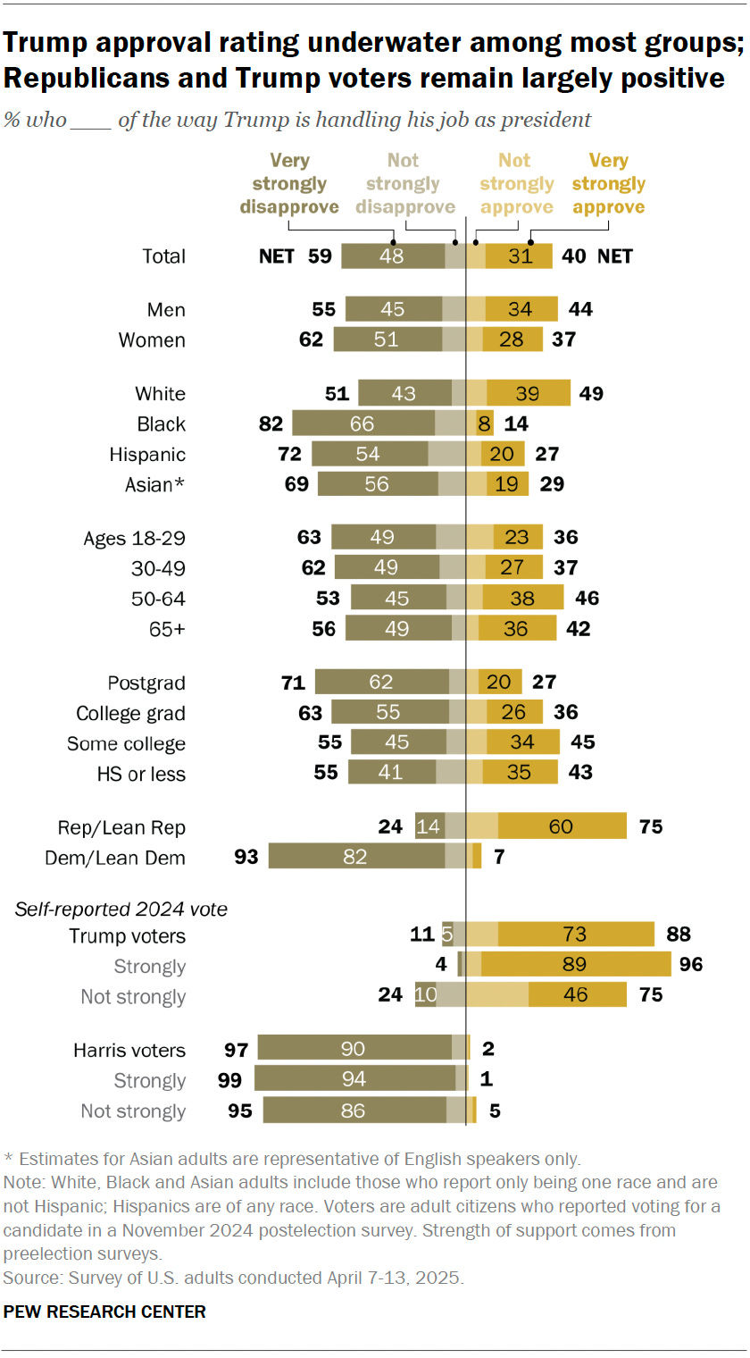 demographic breakdown chart showing approval ratings by age and ethnicity