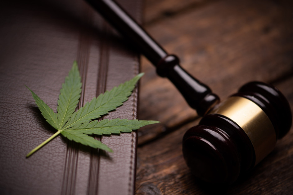 Gavel and marijuana leaf