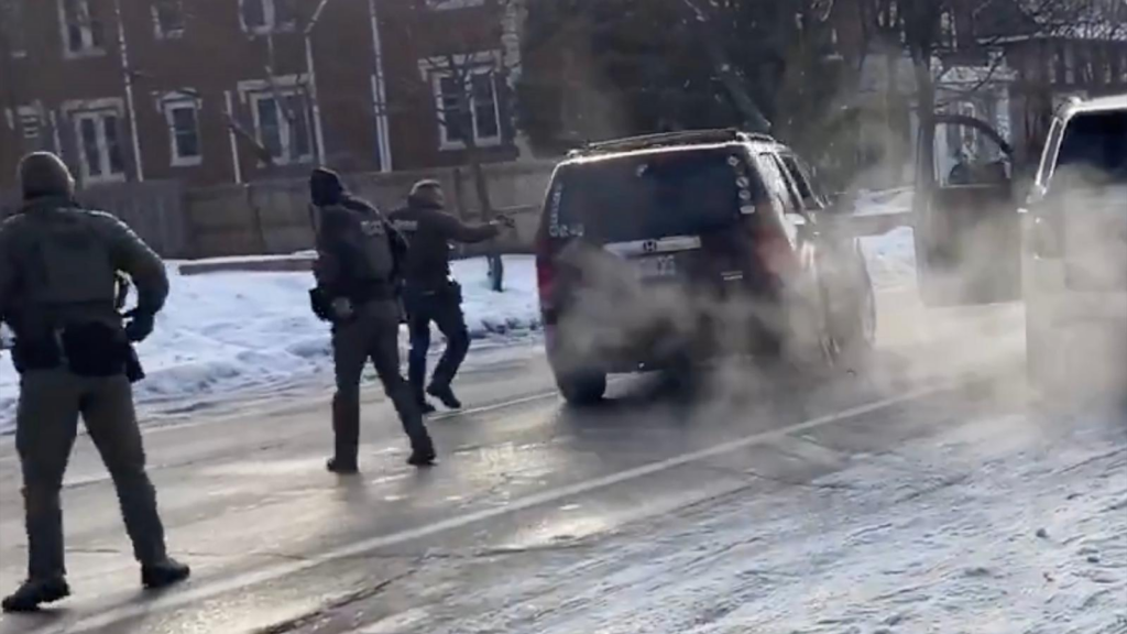 ice agent shooting renee nicole good