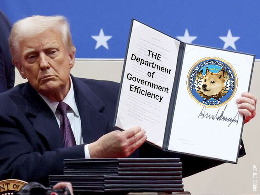 Is DOGE a Government Agency?