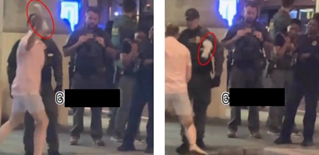 man throwing sandwich at ice