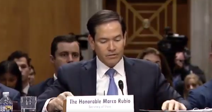 marco rubio during senate hearing