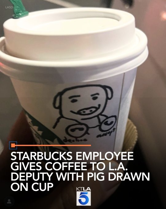 photo of pig drawn on starbucks cup