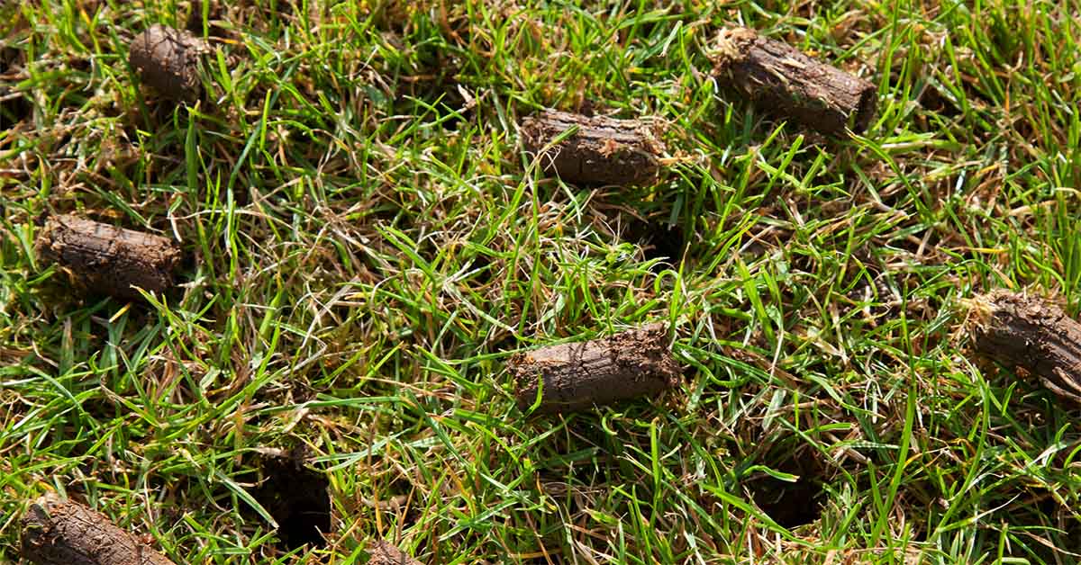 aeration.jpg