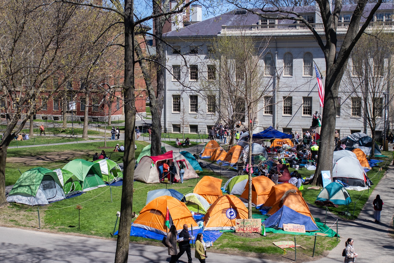 Harvard University campus protest encampment