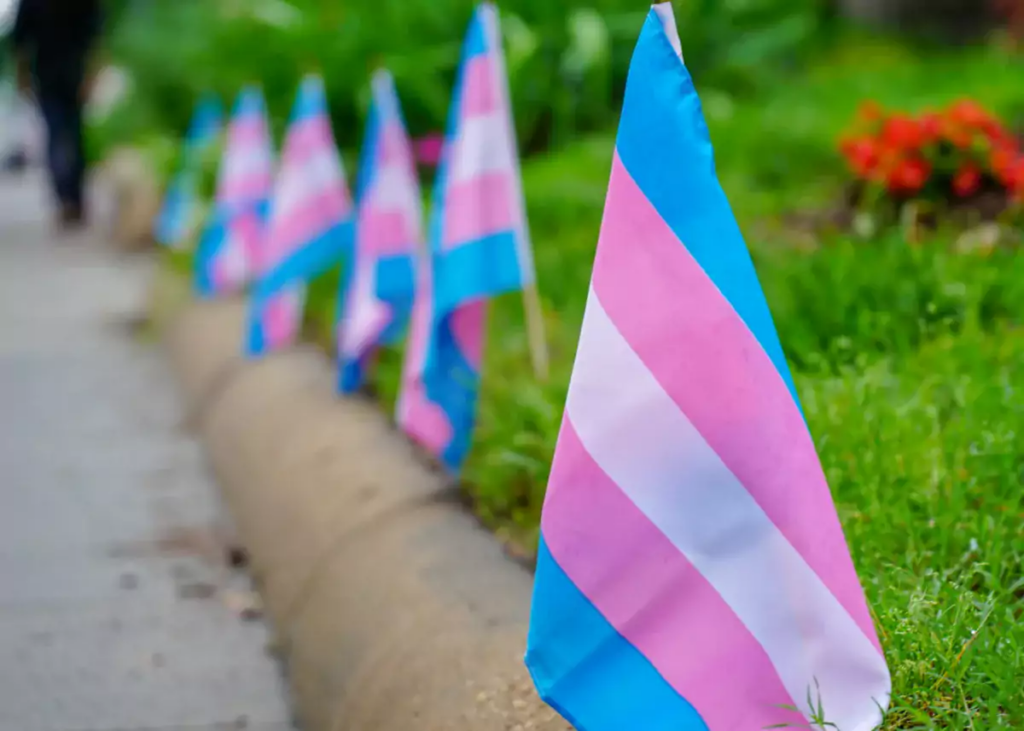 trans flag
