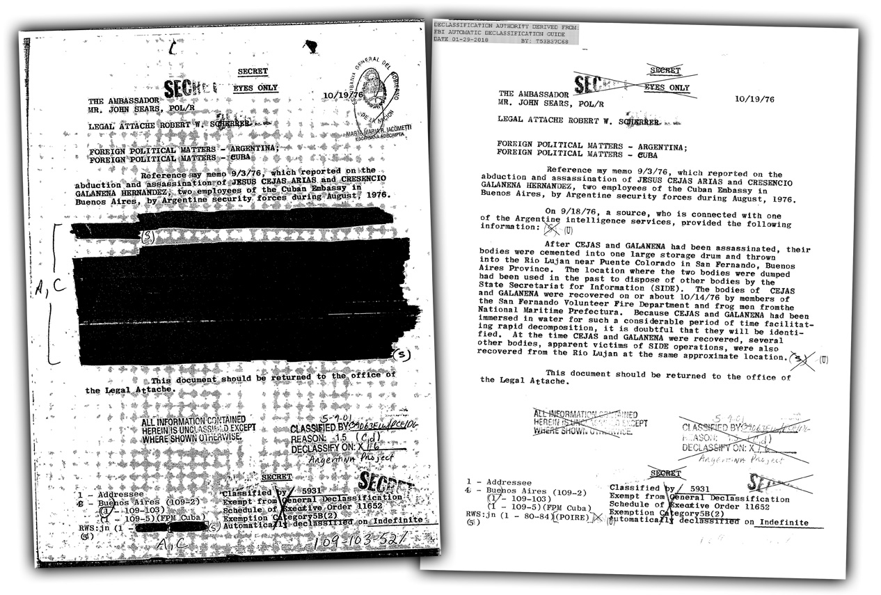 redacted declassified government document