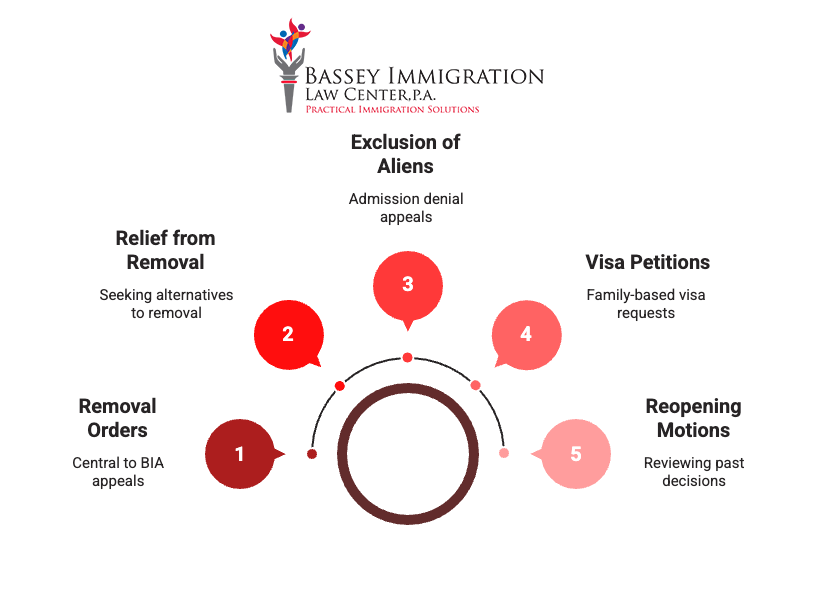 Board of Immigration Appeals federal court review process