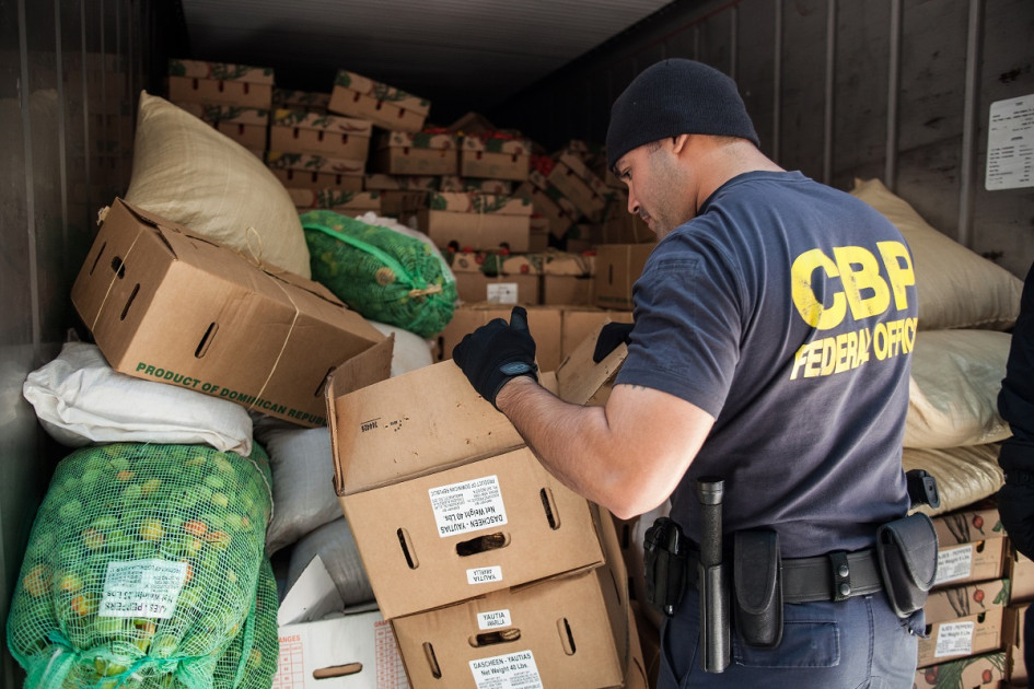 U.S. Customs and Border Protection officer inspecting cargo