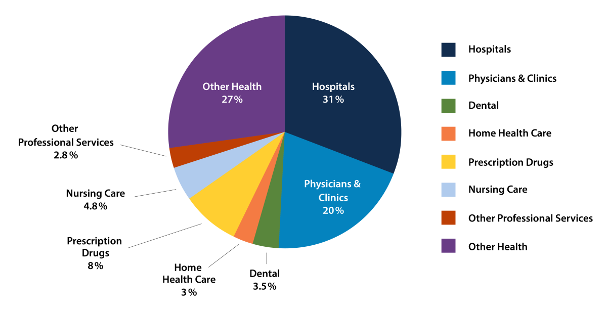 healthcare services breakdown chart