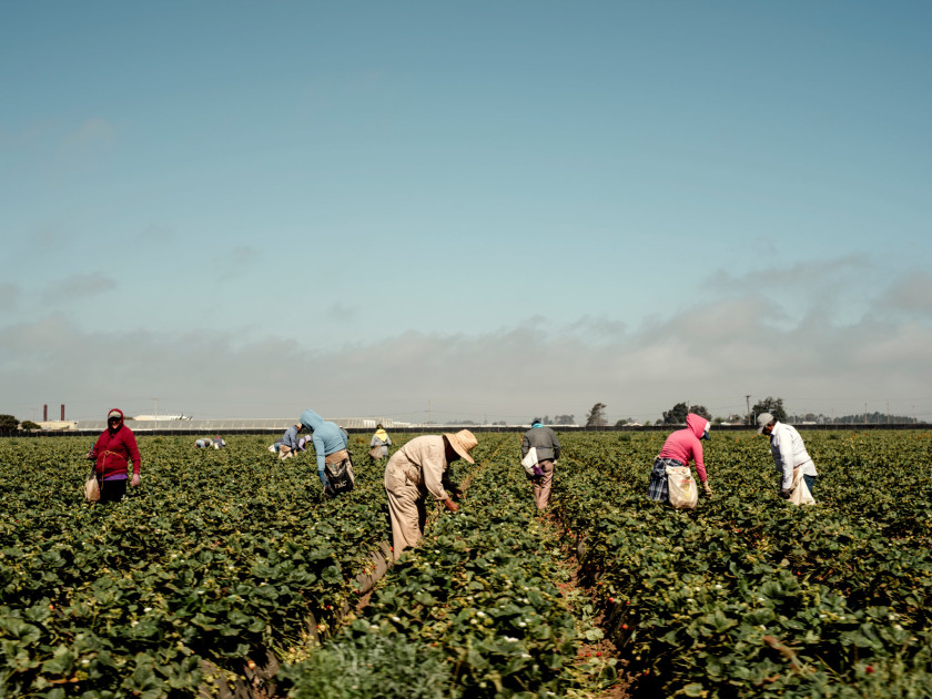 immigrants working essential jobs construction healthcare agriculture