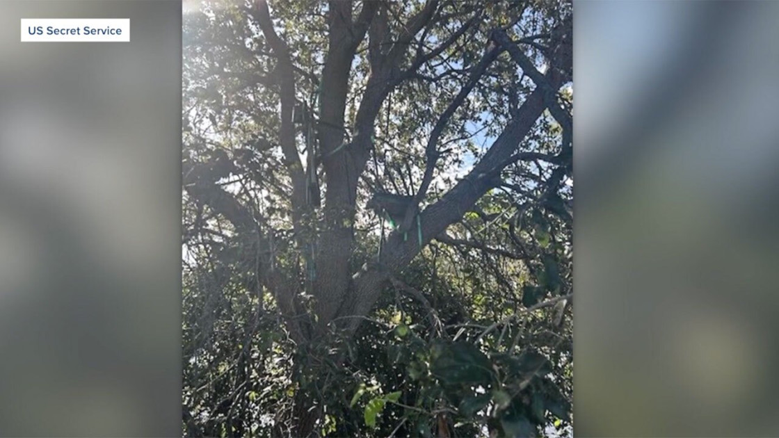 hunting stand discovered by Secret Service palm beach