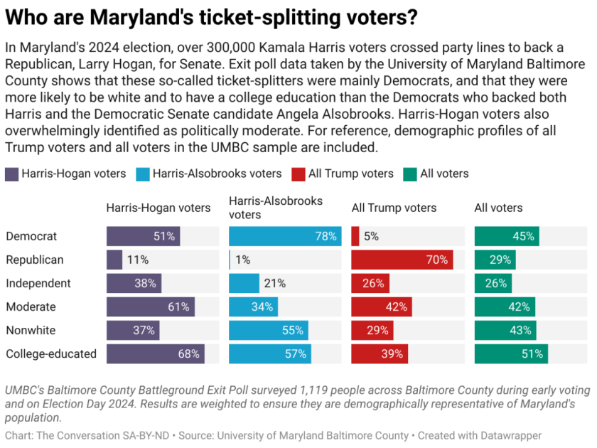 2026 midterm elections Democratic strategy voter turnout